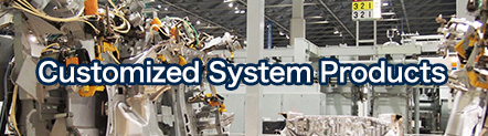 Customized System Products 